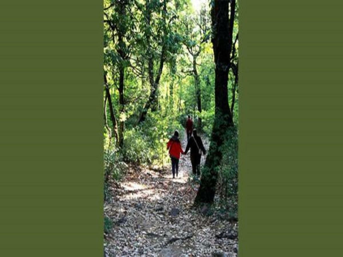 Jungle Lore Birding Lodge Nainital Εξωτερικό φωτογραφία